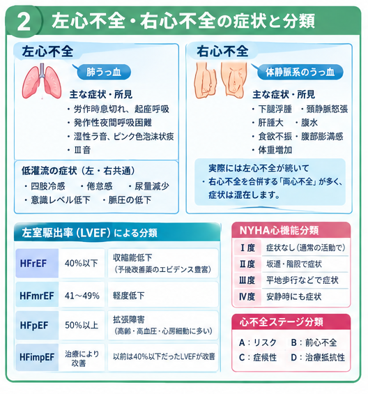 左心不全・右心不全の症状と分類（LVEF・NYHA・ステージ）の図