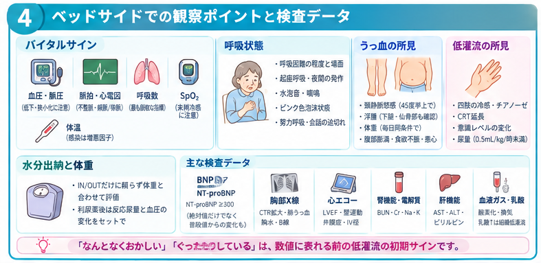 ベッドサイドでの観察ポイントと検査データの図